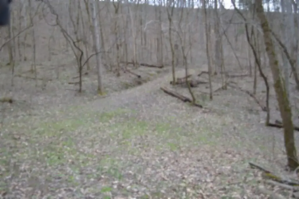290 Hazel Huffines Lane Whitleyville TN 38588