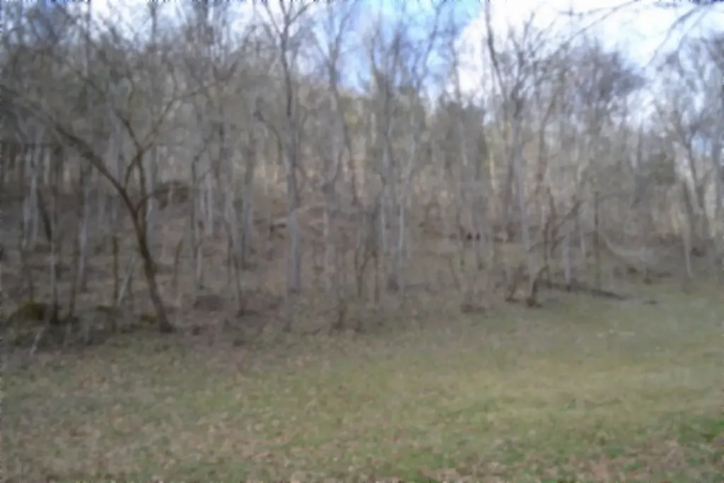 290 Hazel Huffines Lane Whitleyville TN 38588