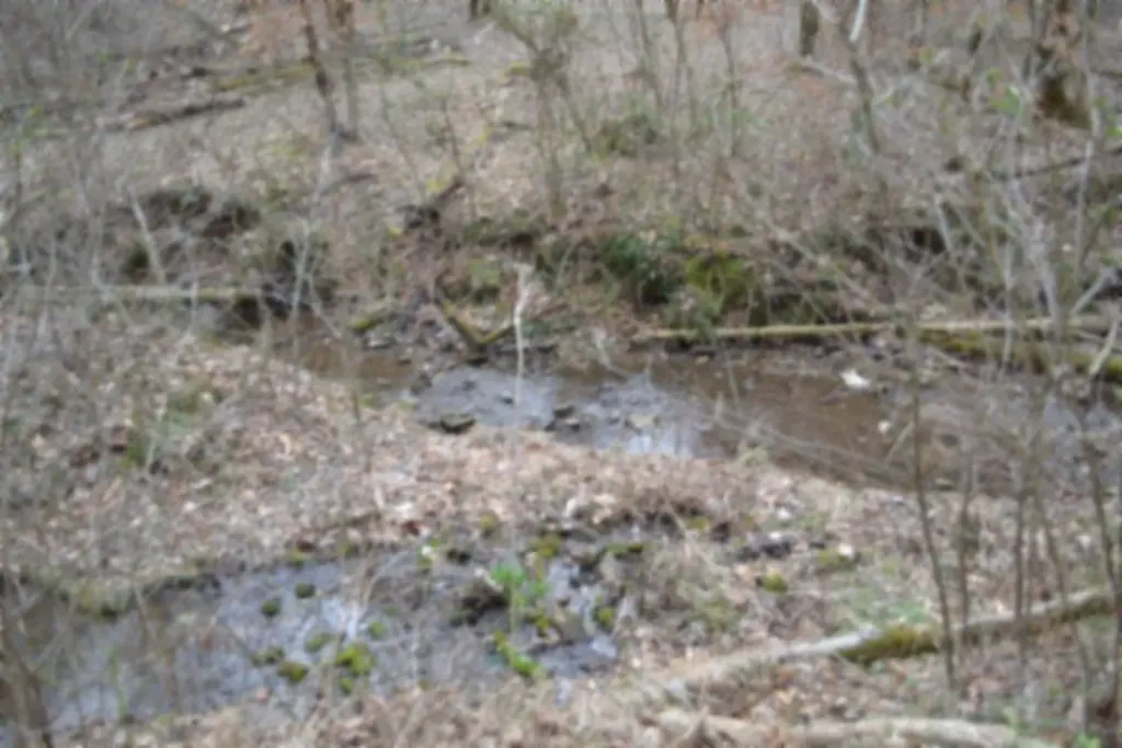 290 Hazel Huffines Lane Whitleyville TN 38588