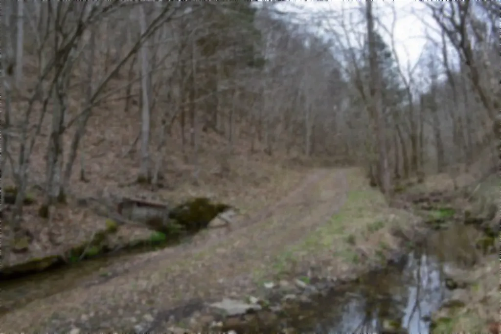 290 Hazel Huffines Lane Whitleyville TN 38588
