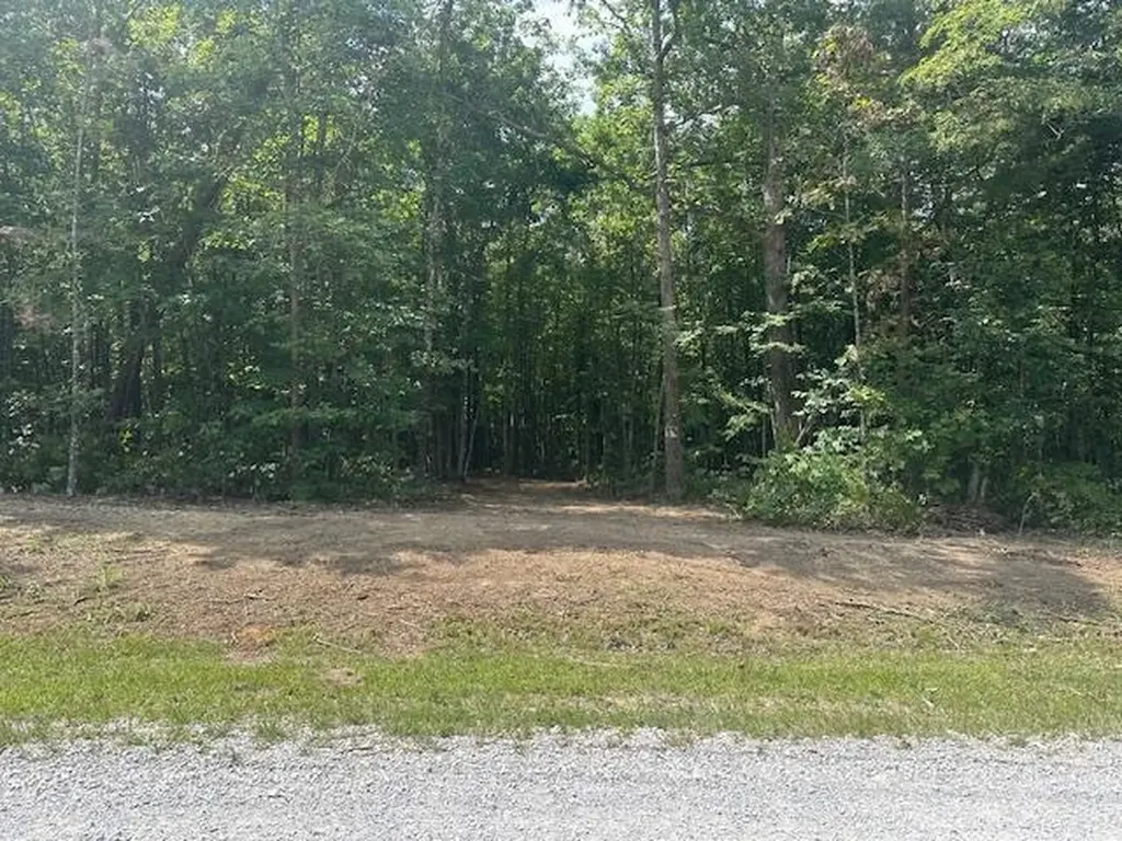Lot 354 Hood Lane Wilder TN 38589