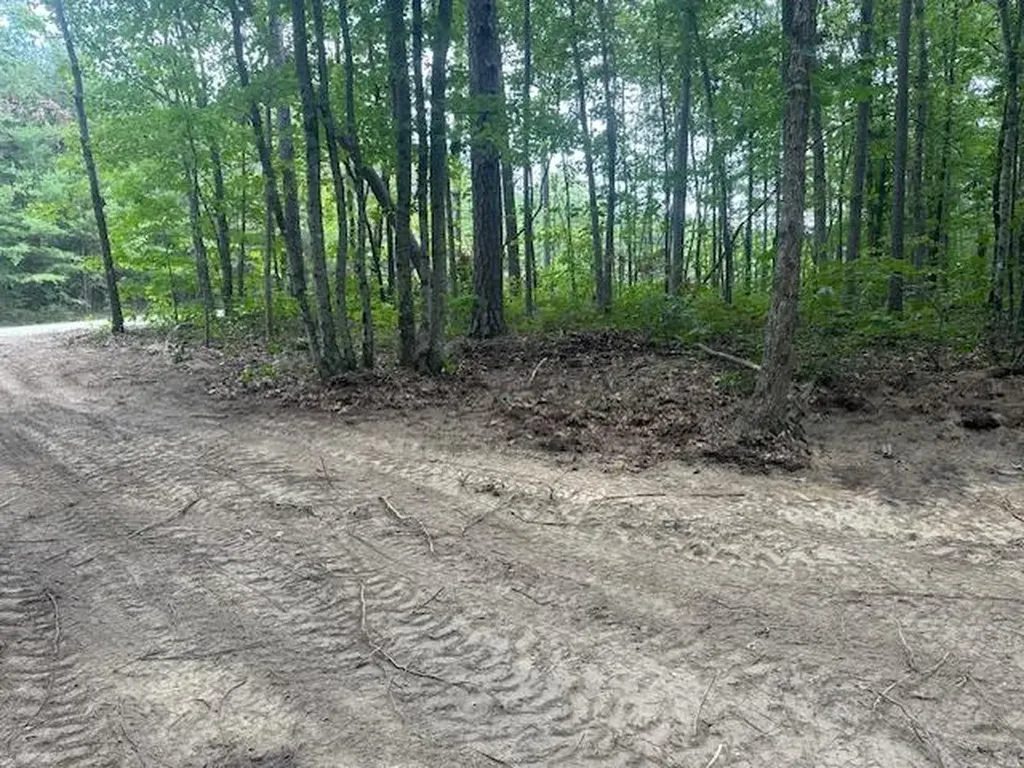 Lot 354 Hood Lane Wilder TN 38589