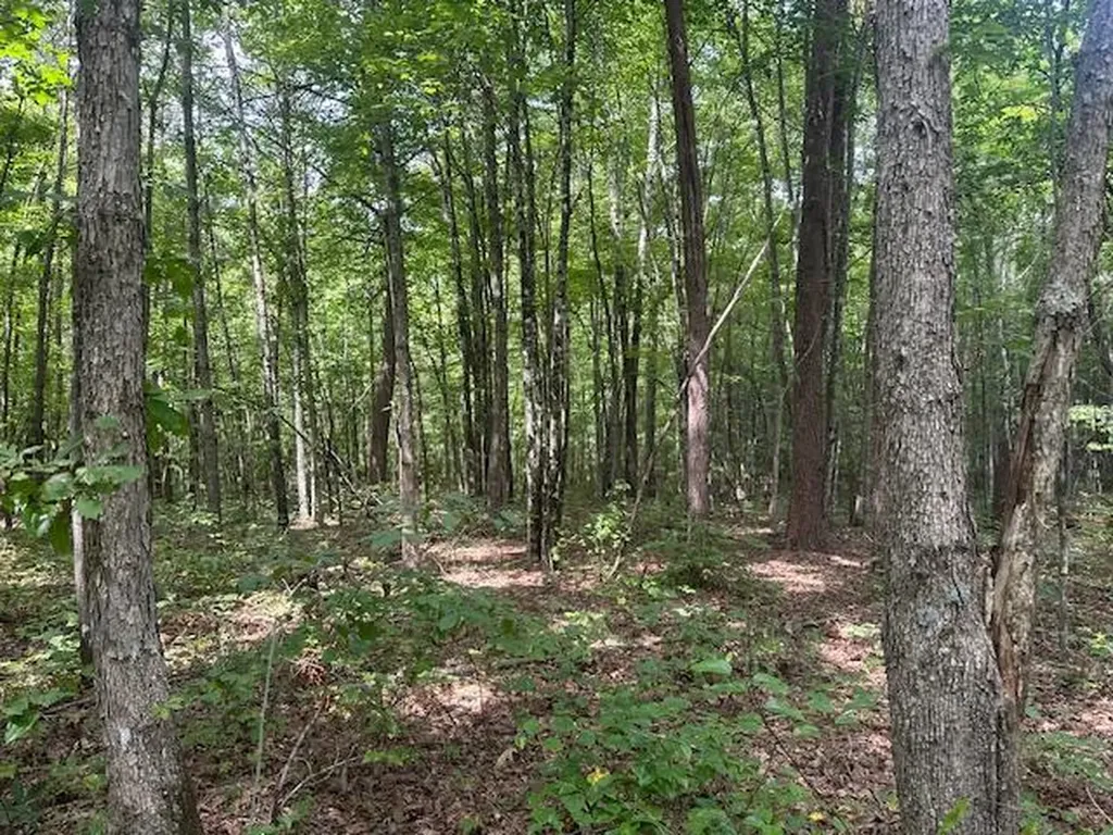 Lot 354 Hood Lane Wilder TN 38589