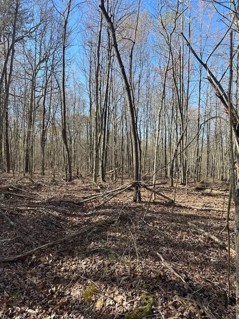 Lot 354 Hood Lane Wilder TN 38589