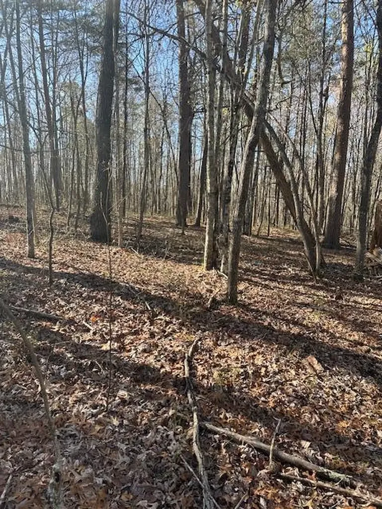Lot 354 Hood Lane Wilder TN 38589