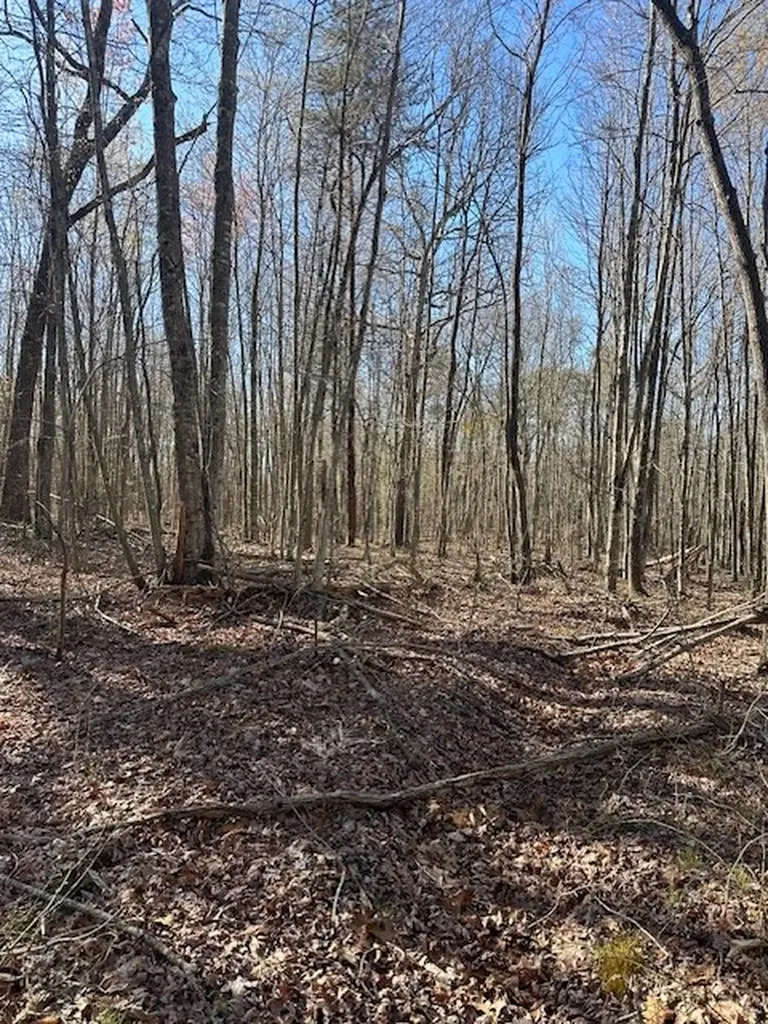Lot 354 Hood Lane Wilder TN 38589