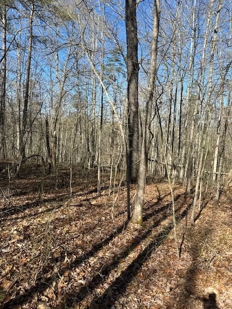 Lot 354 Hood Lane Wilder TN 38589