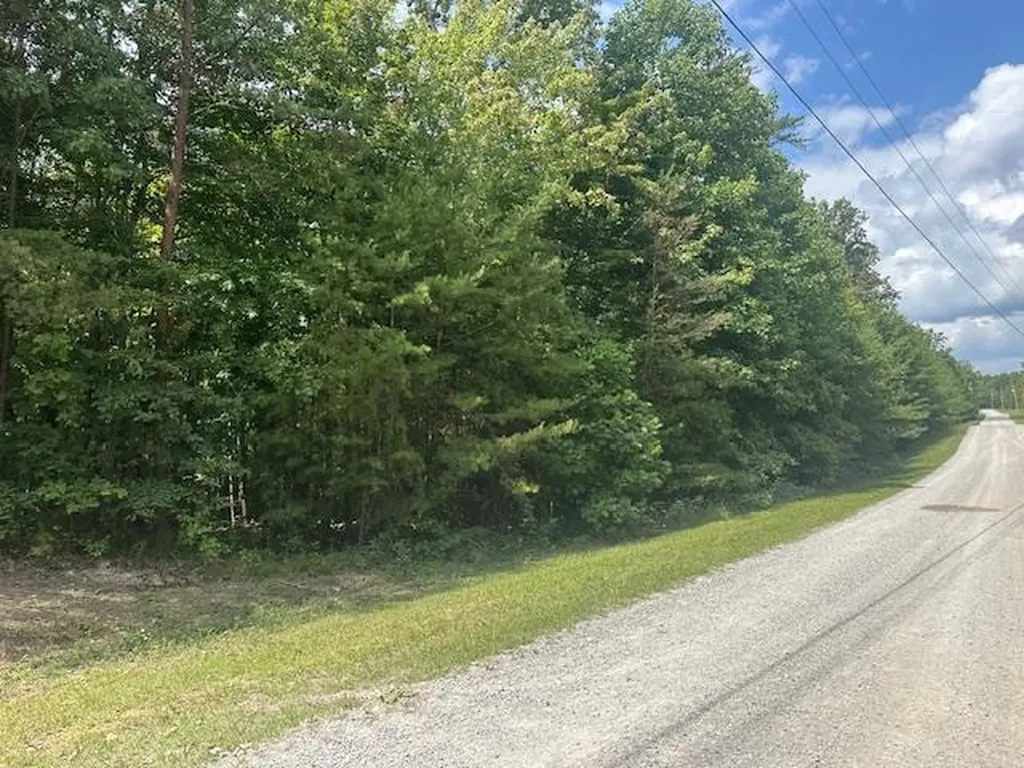 Lot 354 Hood Lane Wilder TN 38589