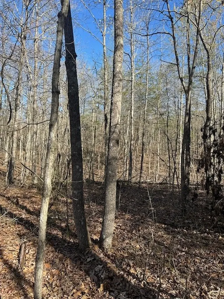 Lot 354 Hood Lane Wilder TN 38589
