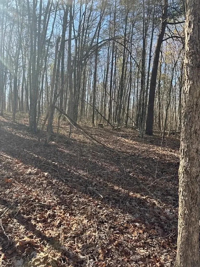 Lot 354 Hood Lane Wilder TN 38589