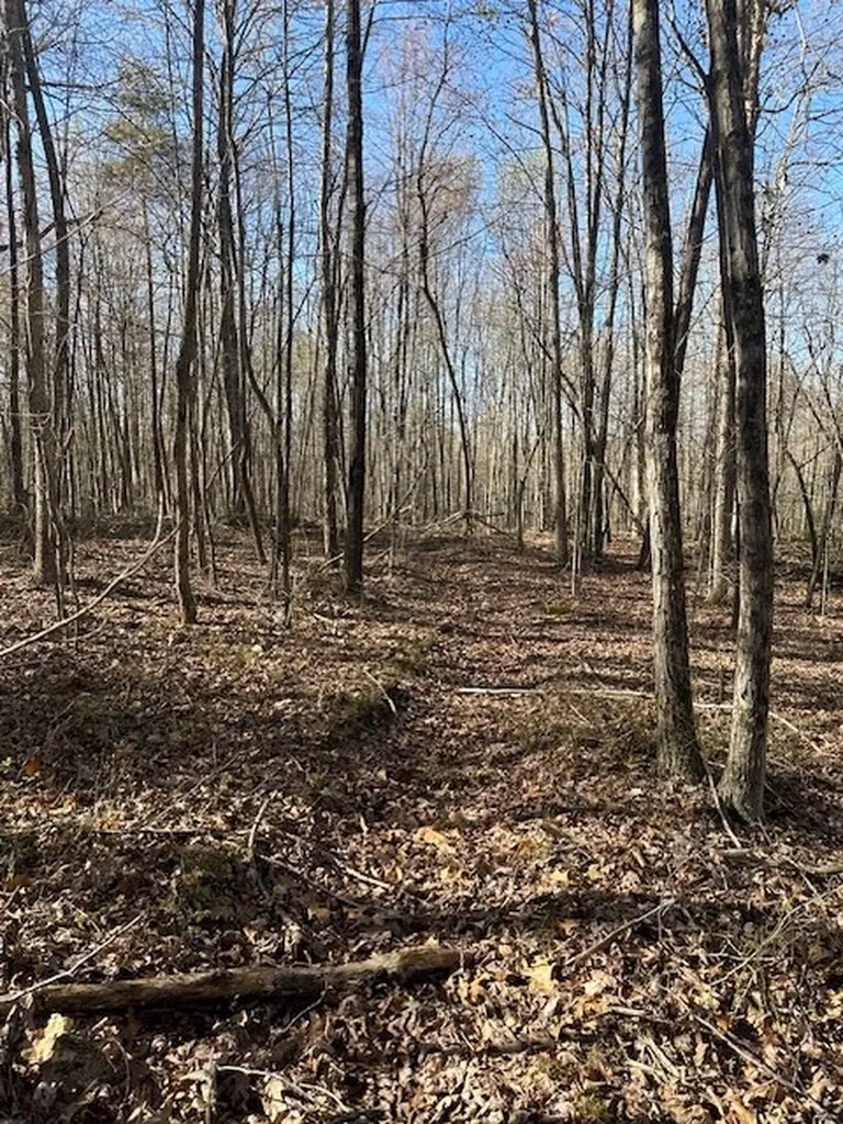 Lot 354 Hood Lane Wilder TN 38589