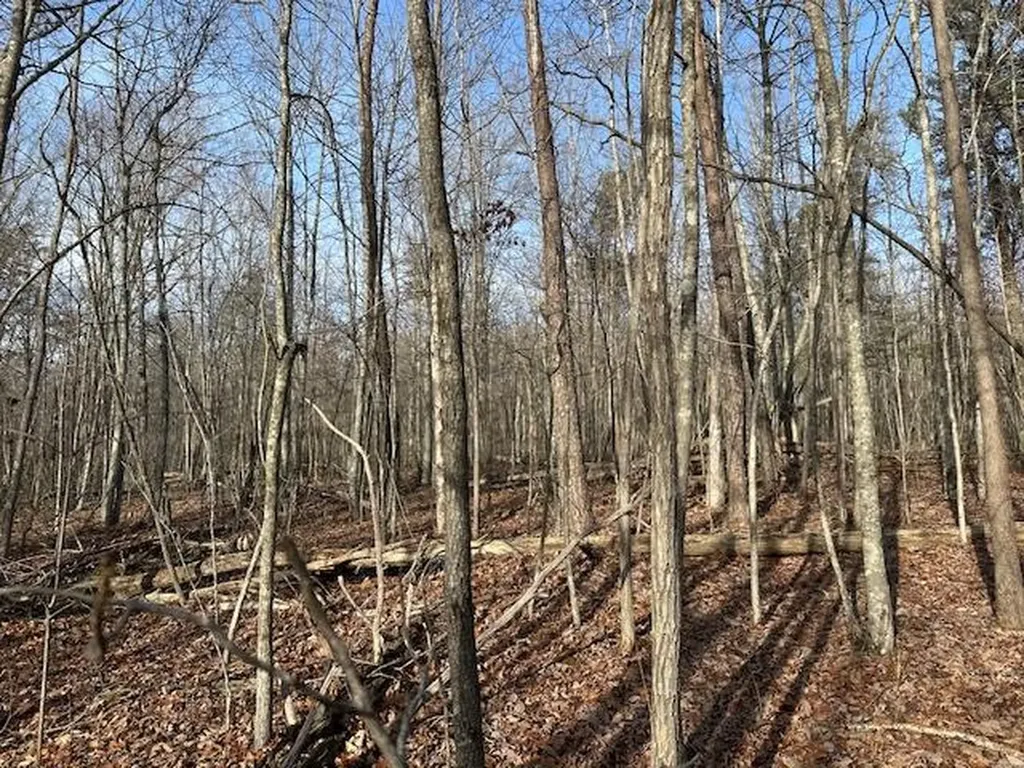 Lot 354 Hood Lane Wilder TN 38589