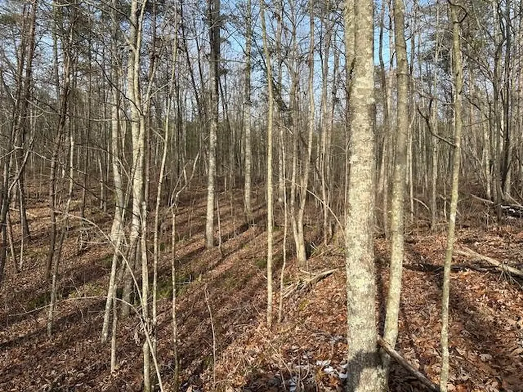 Lot 354 Hood Lane Wilder TN 38589