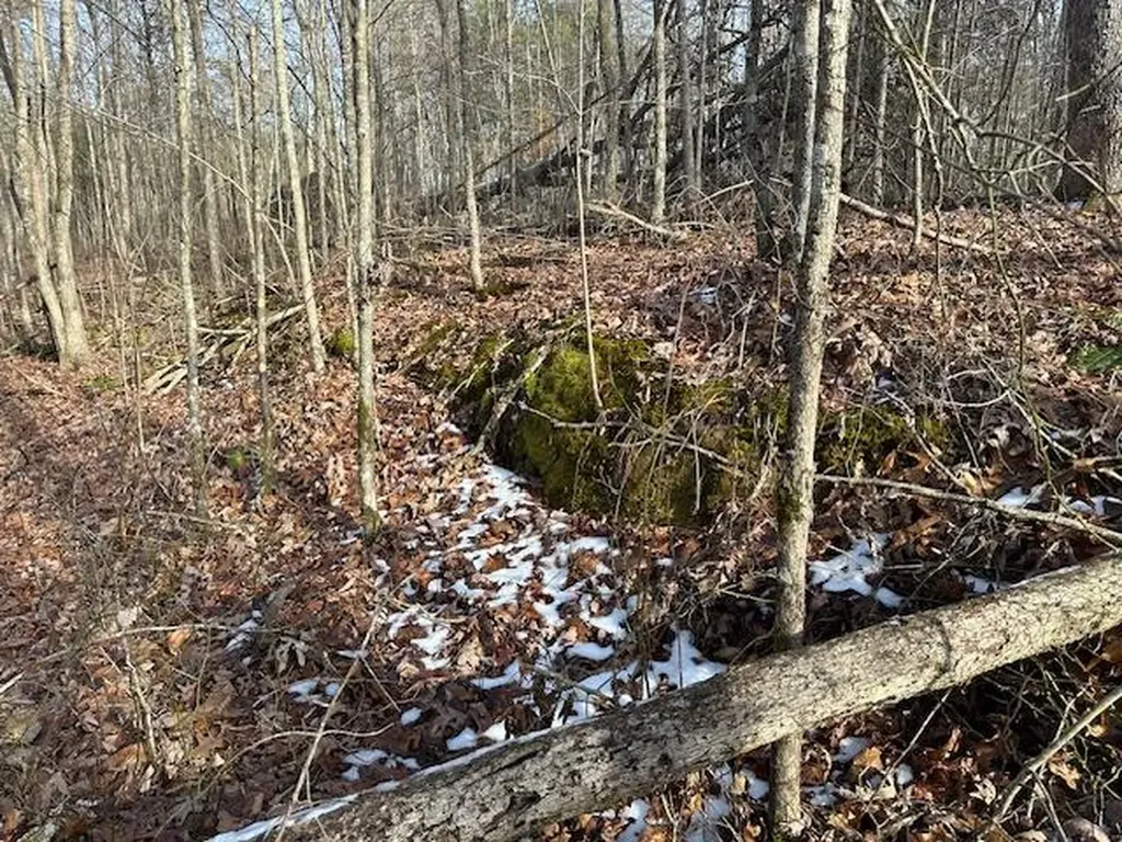 Lot 354 Hood Lane Wilder TN 38589
