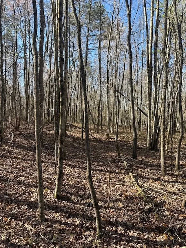 Lot 354 Hood Lane Wilder TN 38589