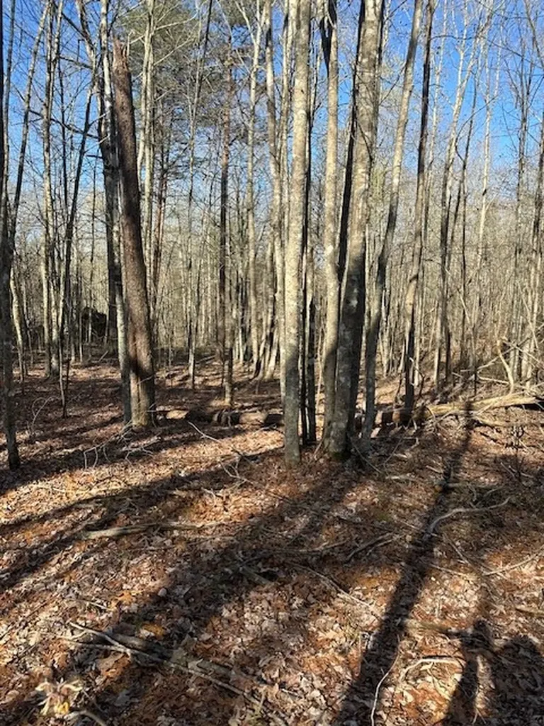 Lot 354 Hood Lane Wilder TN 38589