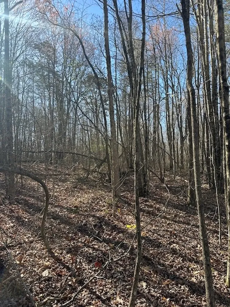 Lot 354 Hood Lane Wilder TN 38589