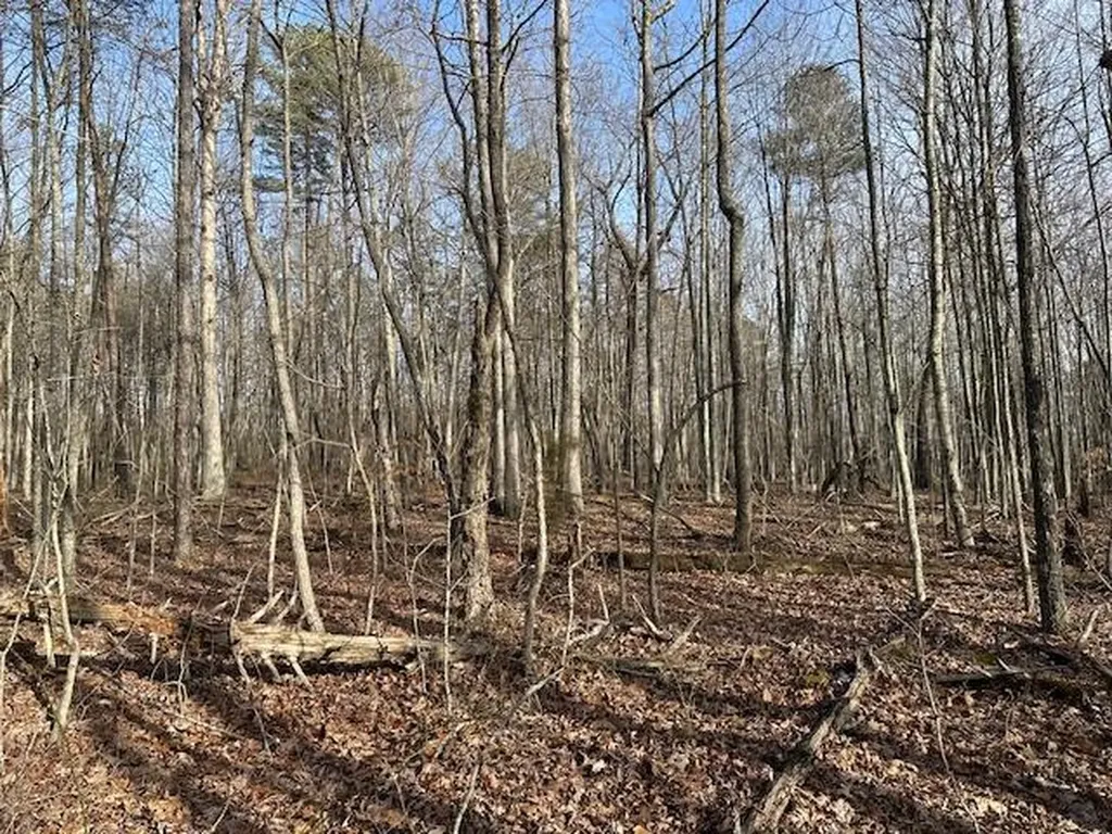 Lot 354 Hood Lane Wilder TN 38589