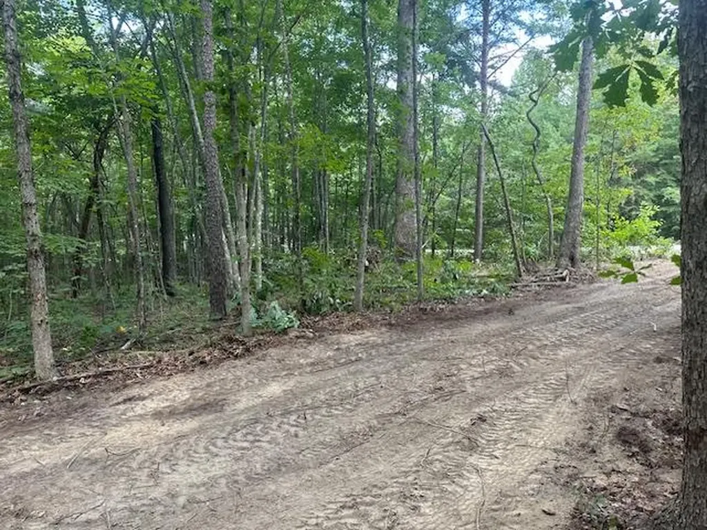 Lot 354 Hood Lane Wilder TN 38589