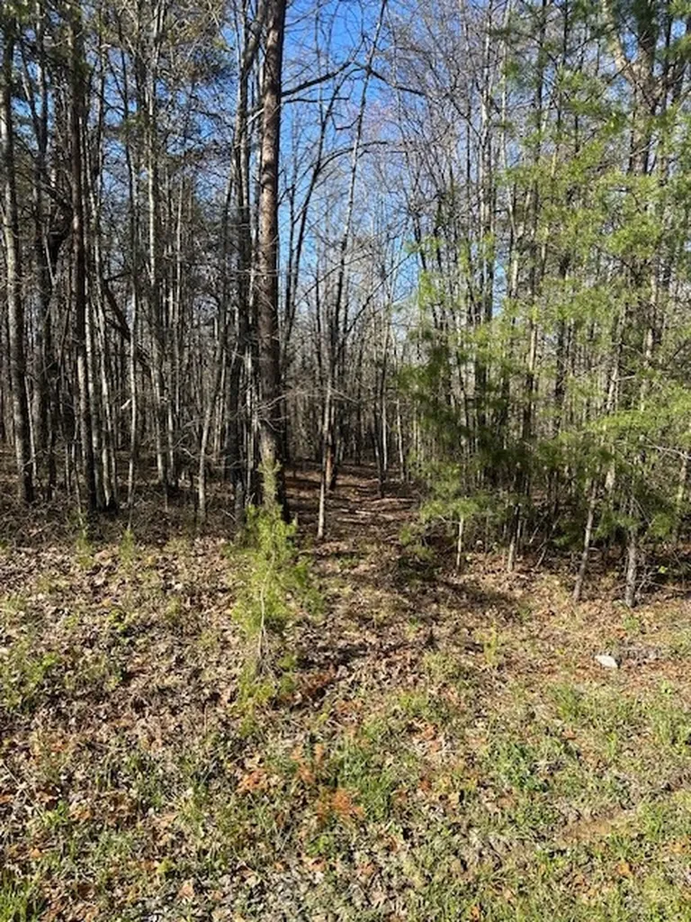 Lot 354 Hood Lane Wilder TN 38589