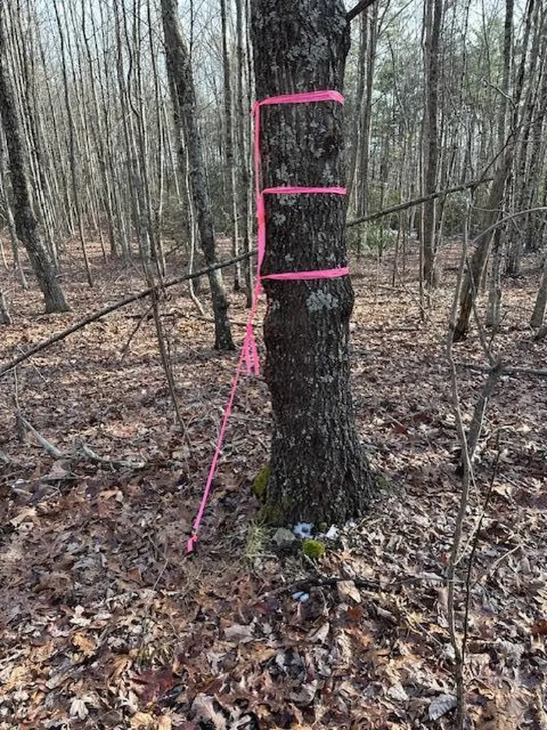 Lot 354 Hood Lane Wilder TN 38589