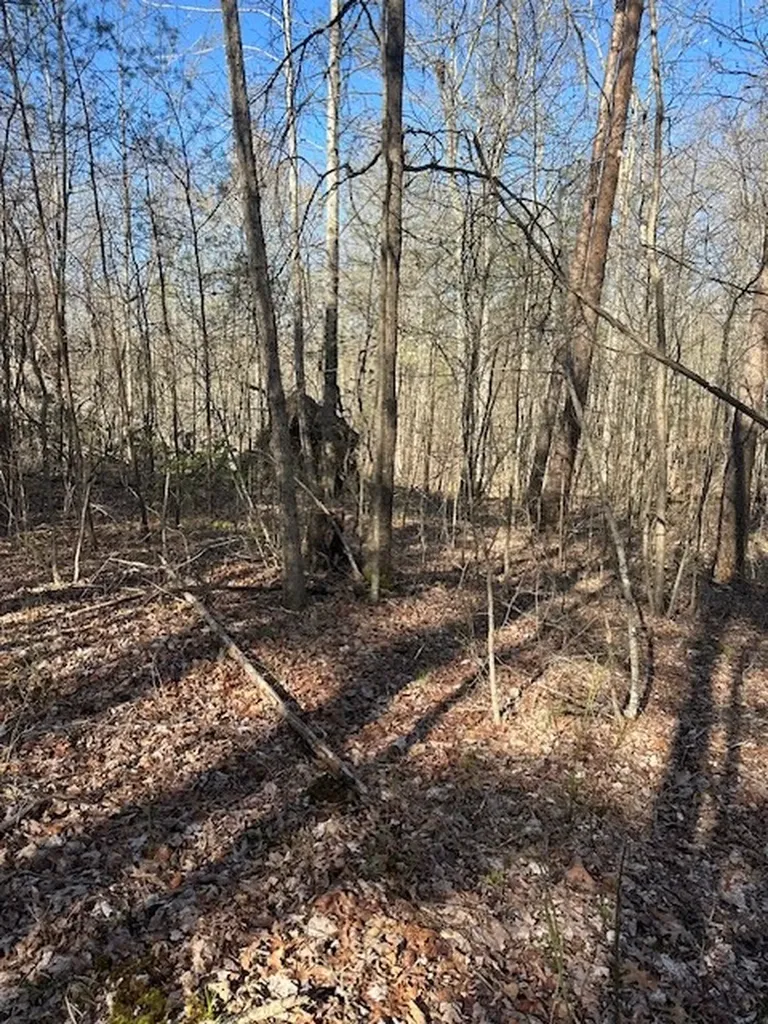 Lot 354 Hood Lane Wilder TN 38589