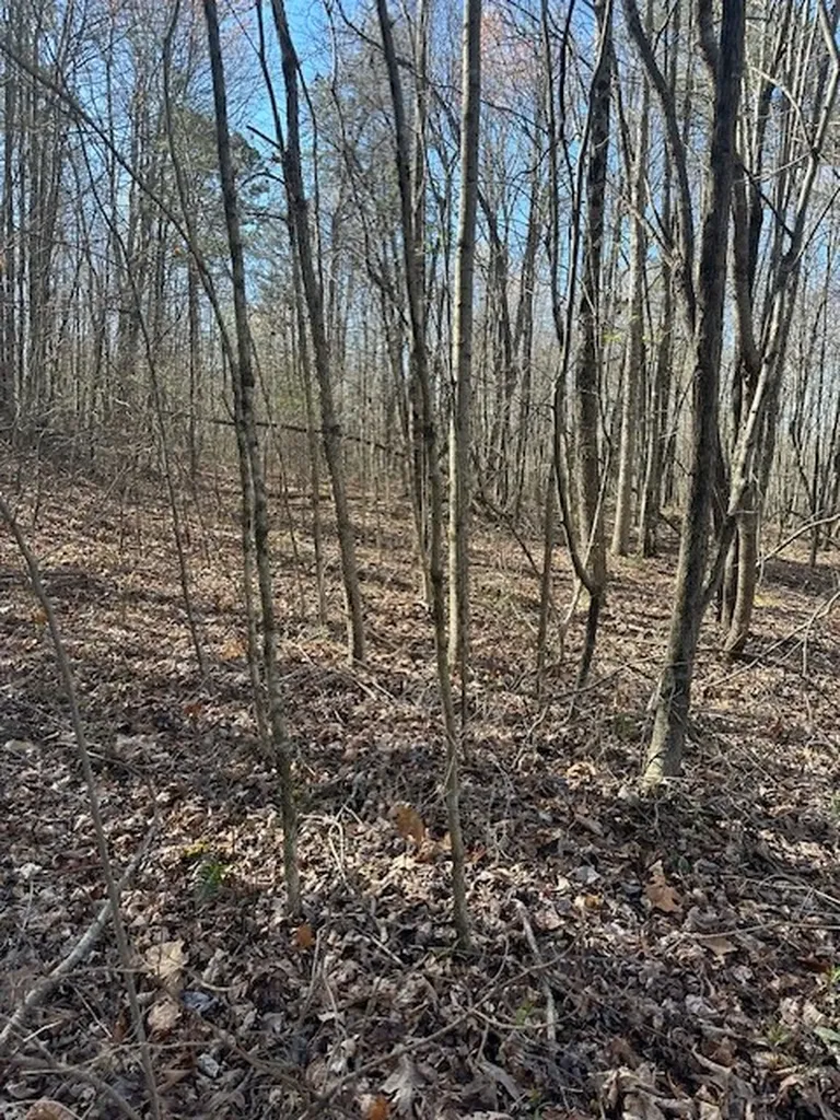 Lot 354 Hood Lane Wilder TN 38589