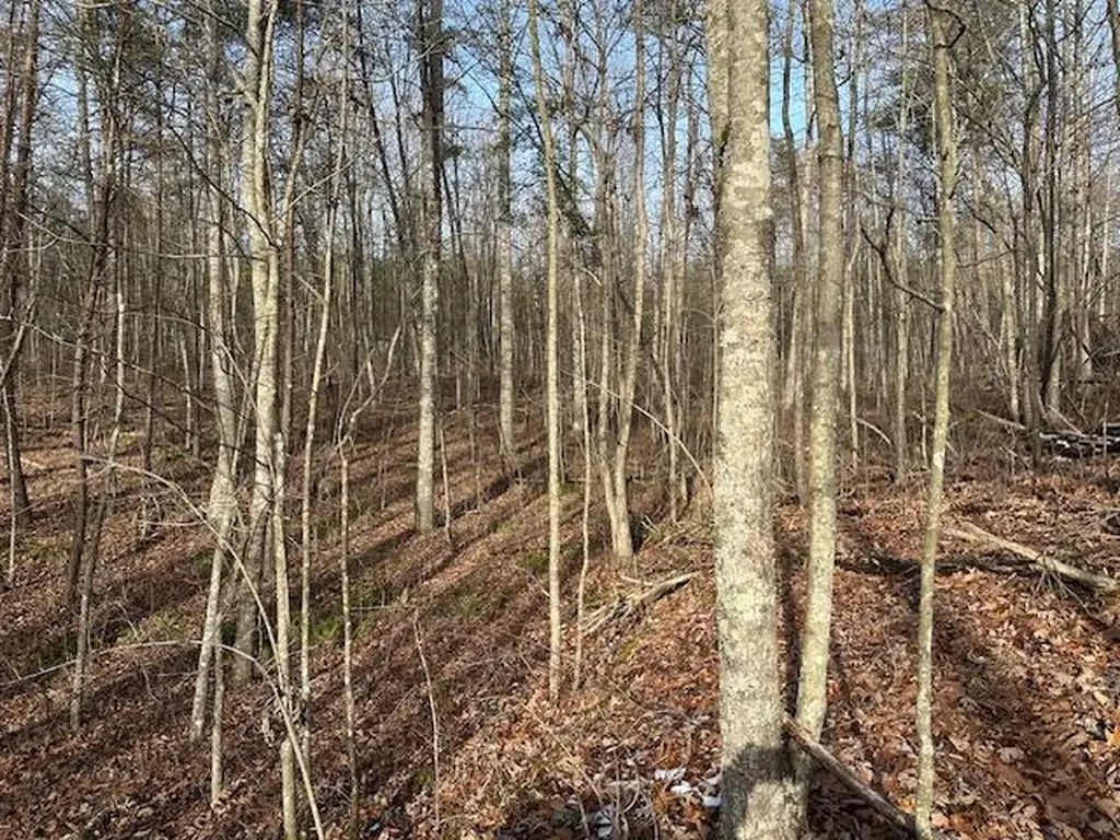 Lot 354 Hood Lane Wilder TN 38589