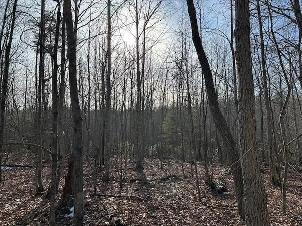 Lot 354 Hood Lane Wilder TN 38589