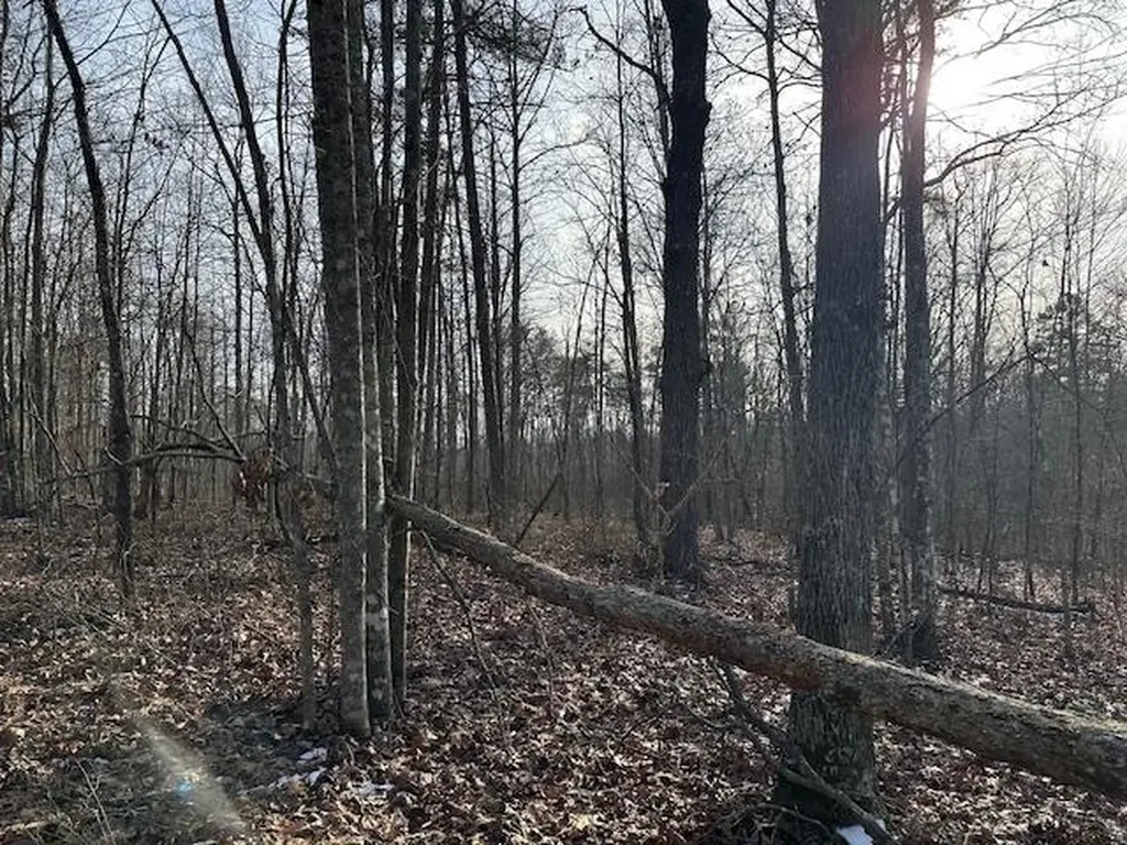 Lot 354 Hood Lane Wilder TN 38589