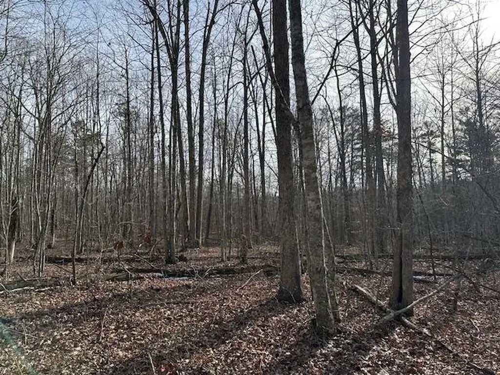 Lot 354 Hood Lane Wilder TN 38589