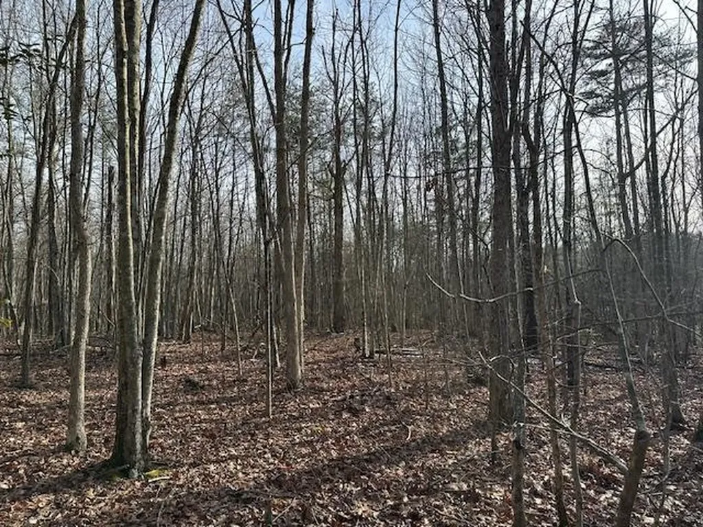 Lot 354 Hood Lane Wilder TN 38589