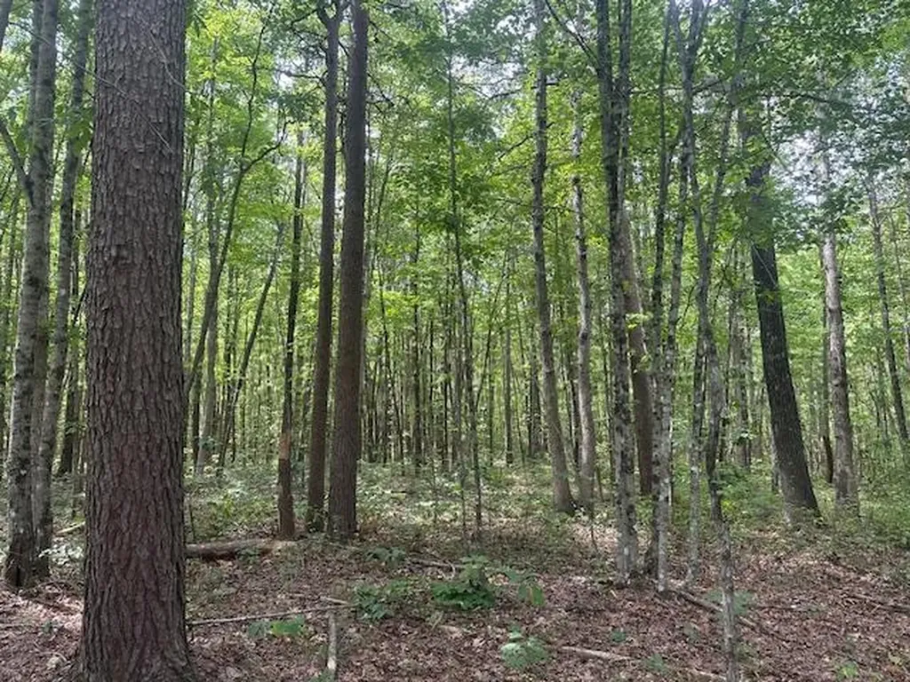Lot 354 Hood Lane Wilder TN 38589