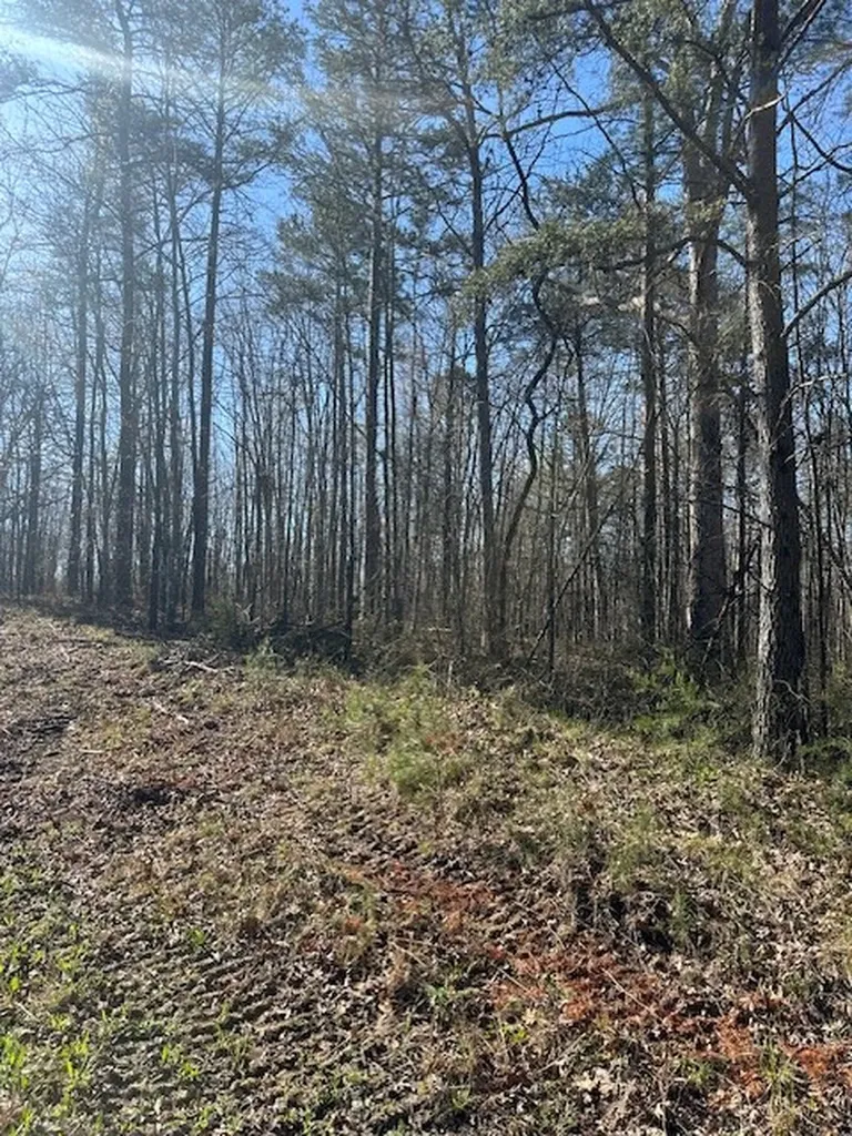 Lot 354 Hood Lane Wilder TN 38589