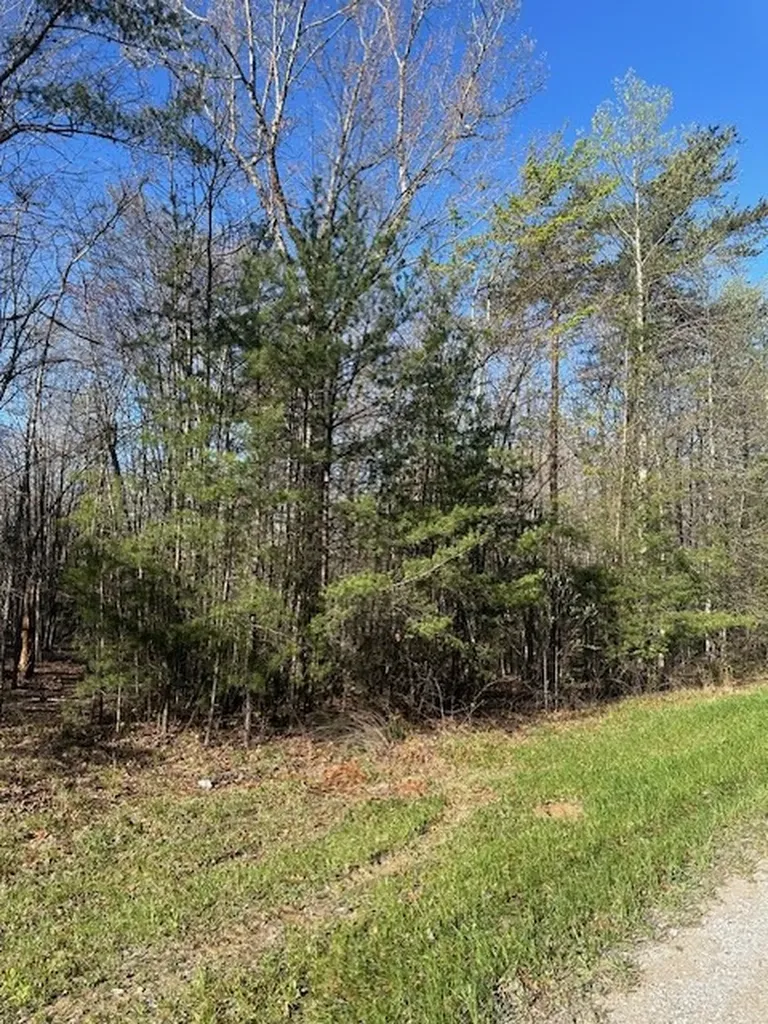 Lot 354 Hood Lane Wilder TN 38589