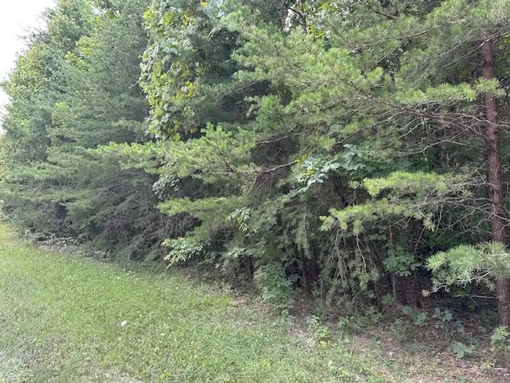 Lot 354 Hood Lane Wilder TN 38589