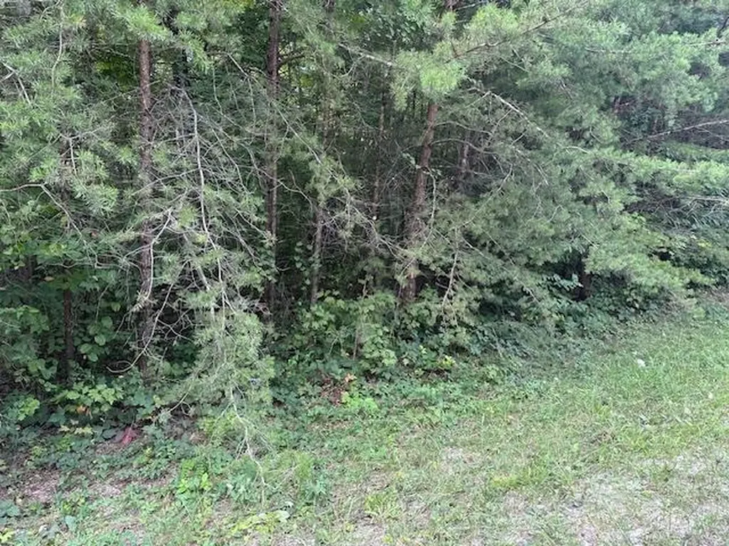 Lot 354 Hood Lane Wilder TN 38589