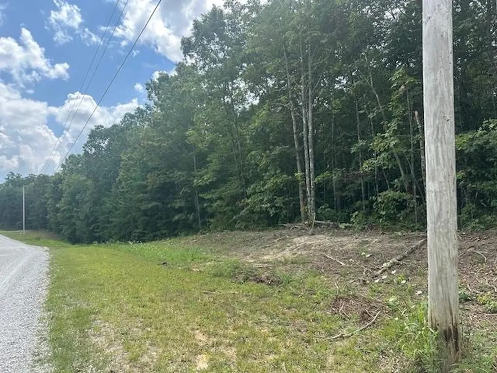 Lot 354 Hood Lane Wilder TN 38589