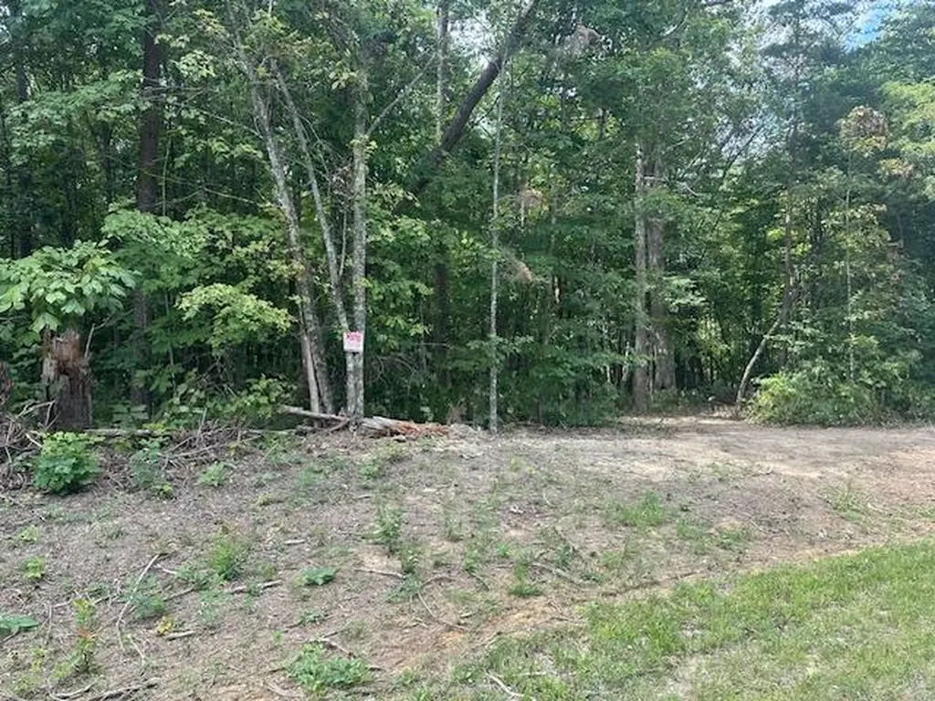 Lot 354 Hood Lane Wilder TN 38589