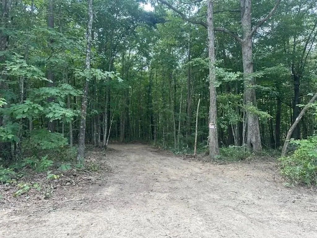 Lot 354 Hood Lane Wilder TN 38589
