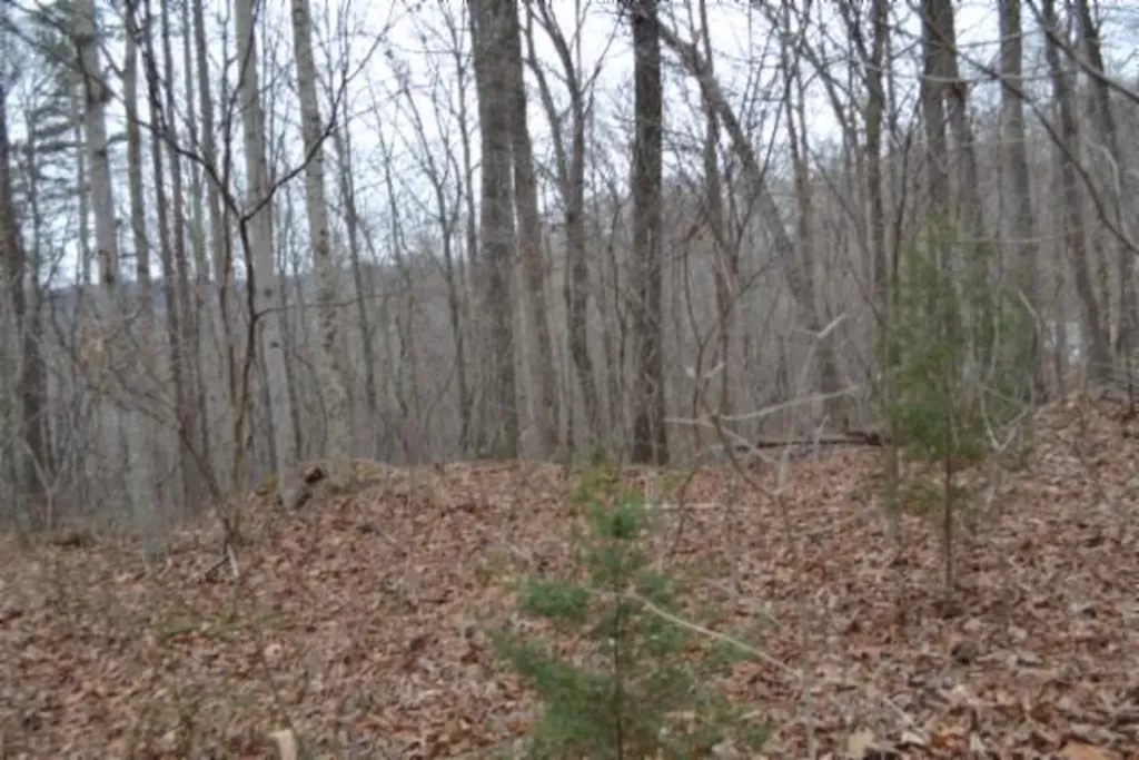 Lot 14 Cheyenne Drive Jamestown TN 38556