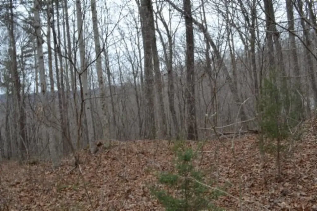 Lot 14 Cheyenne Drive Jamestown TN 38556