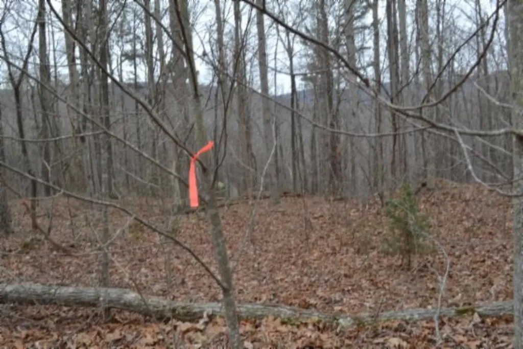 Lot 14 Cheyenne Drive Jamestown TN 38556