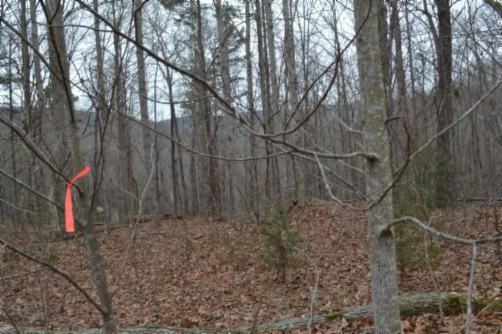 Lot 14 Cheyenne Drive Jamestown TN 38556