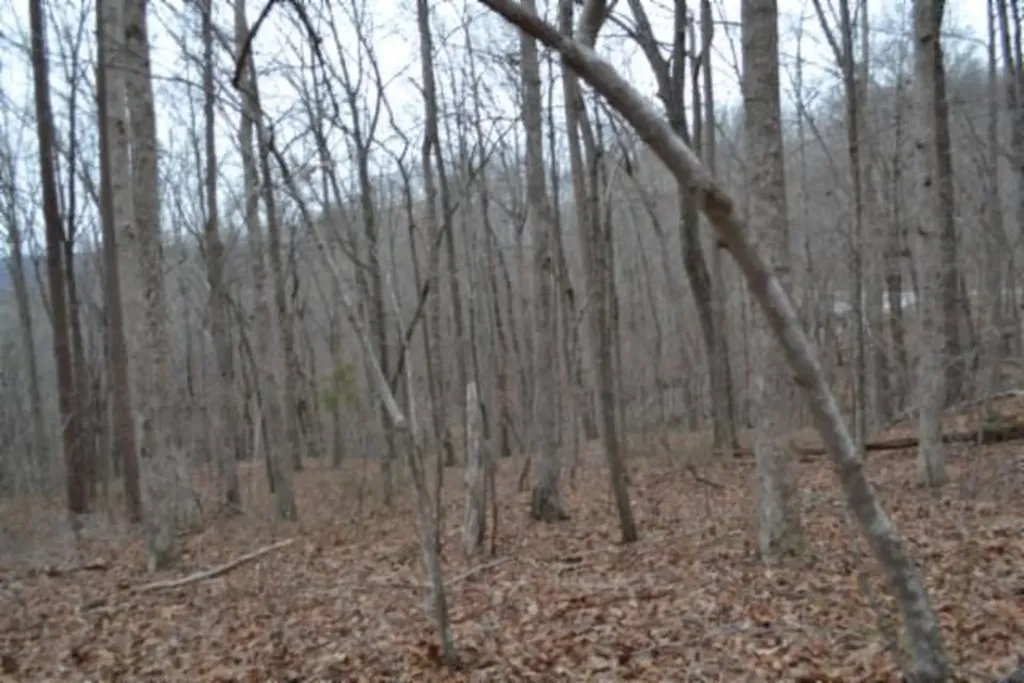 Lot 14 Cheyenne Drive Jamestown TN 38556