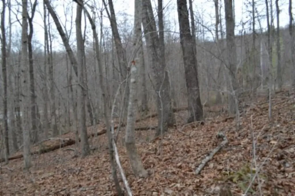 Lot 14 Cheyenne Drive Jamestown TN 38556