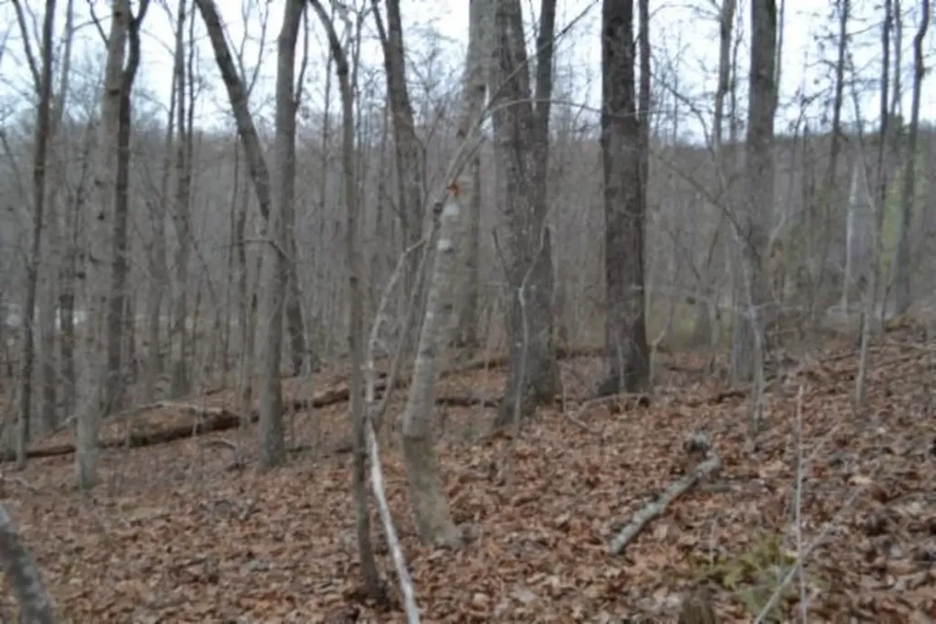 Lot 14 Cheyenne Drive Jamestown TN 38556