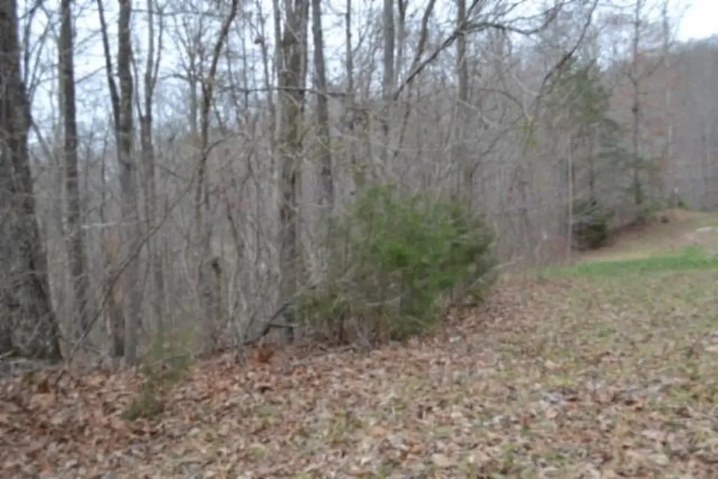 Lot 14 Cheyenne Drive Jamestown TN 38556