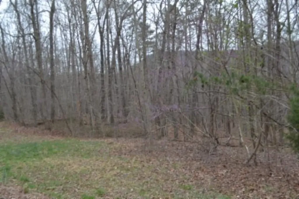Lot 14 Cheyenne Drive Jamestown TN 38556