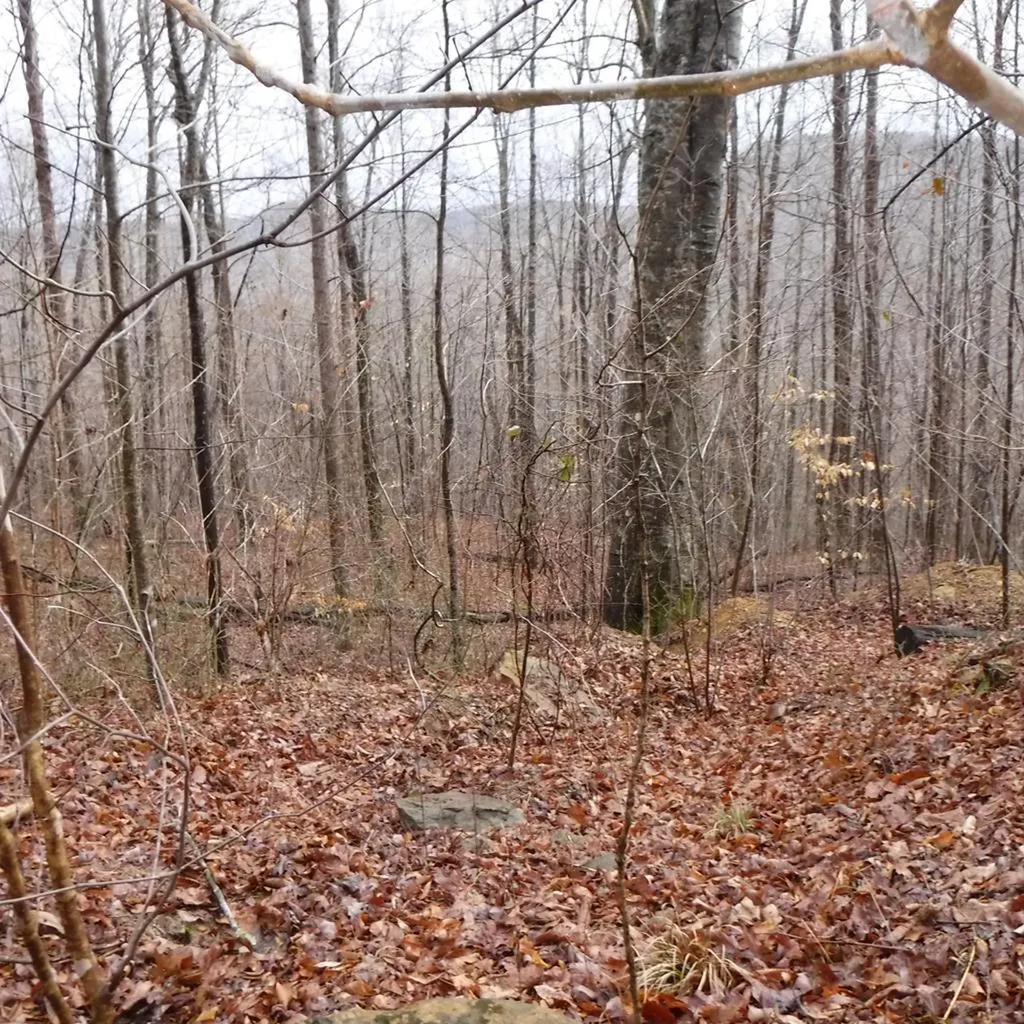 Lot 14 Cheyenne Drive Jamestown TN 38556